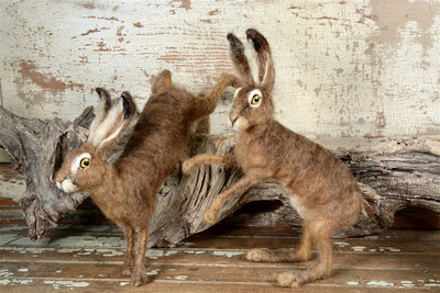 Supply Pack: Brown Hare - Level 3