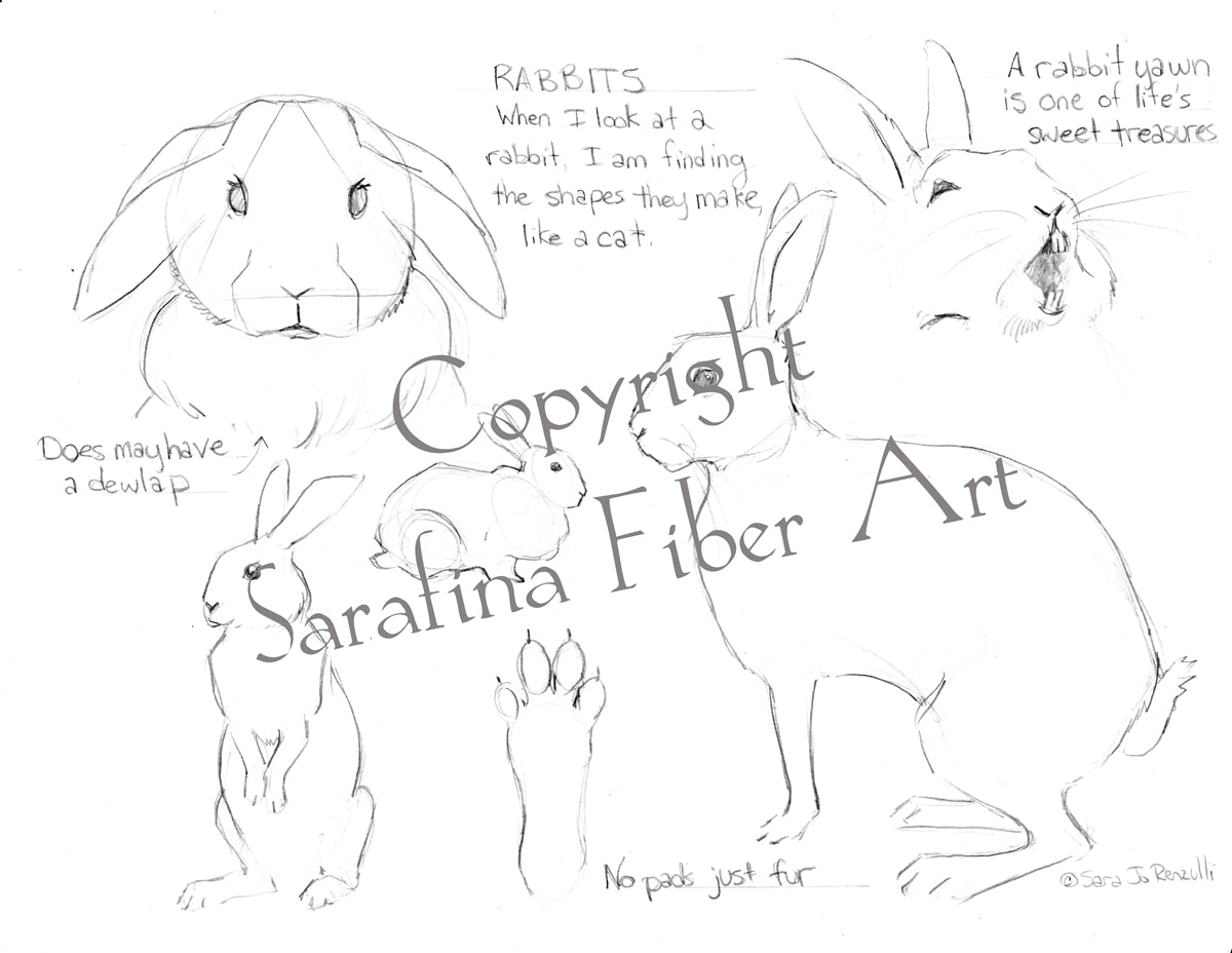 Sarafina Reference Charts (in protective sleeves)