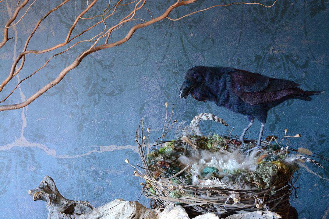 FFF_raven_6_4d370209-4e36-4cda