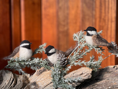 Boodle: Dove and Chickadee Project Boodle