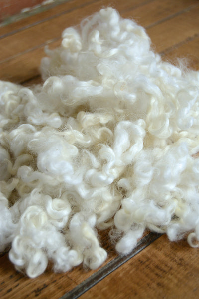 Sheep Curls 2 oz Light