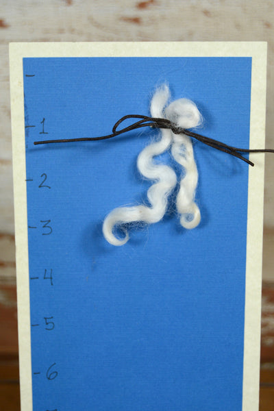 Sheep Curls 2 oz Light
