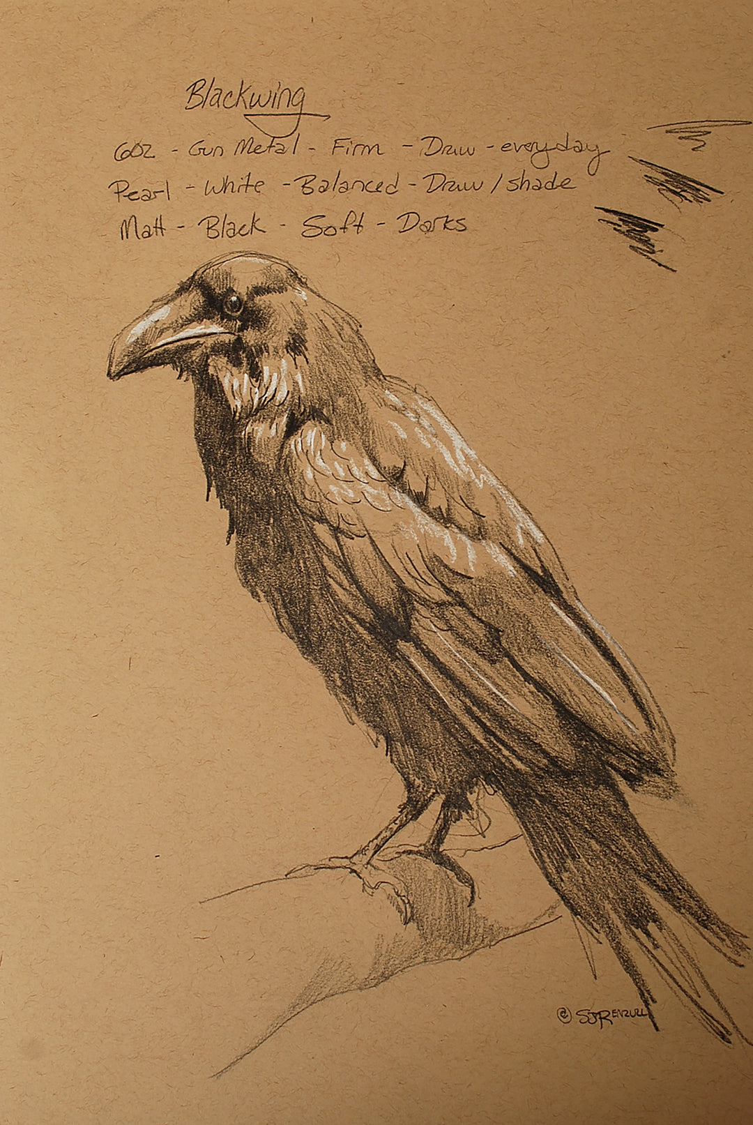 Raven_Drawing_1080x.jpg?v=