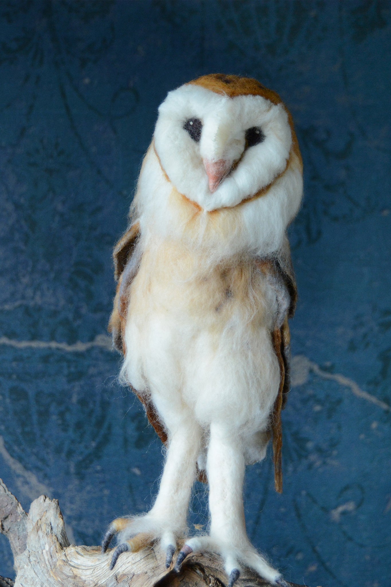 Supply Pack: Barn Owl - Level 3/4