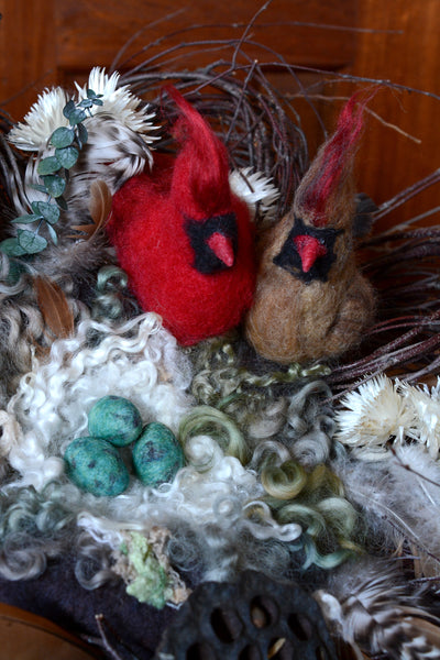 Boodle: Male and Female Cardinal Project Boodle