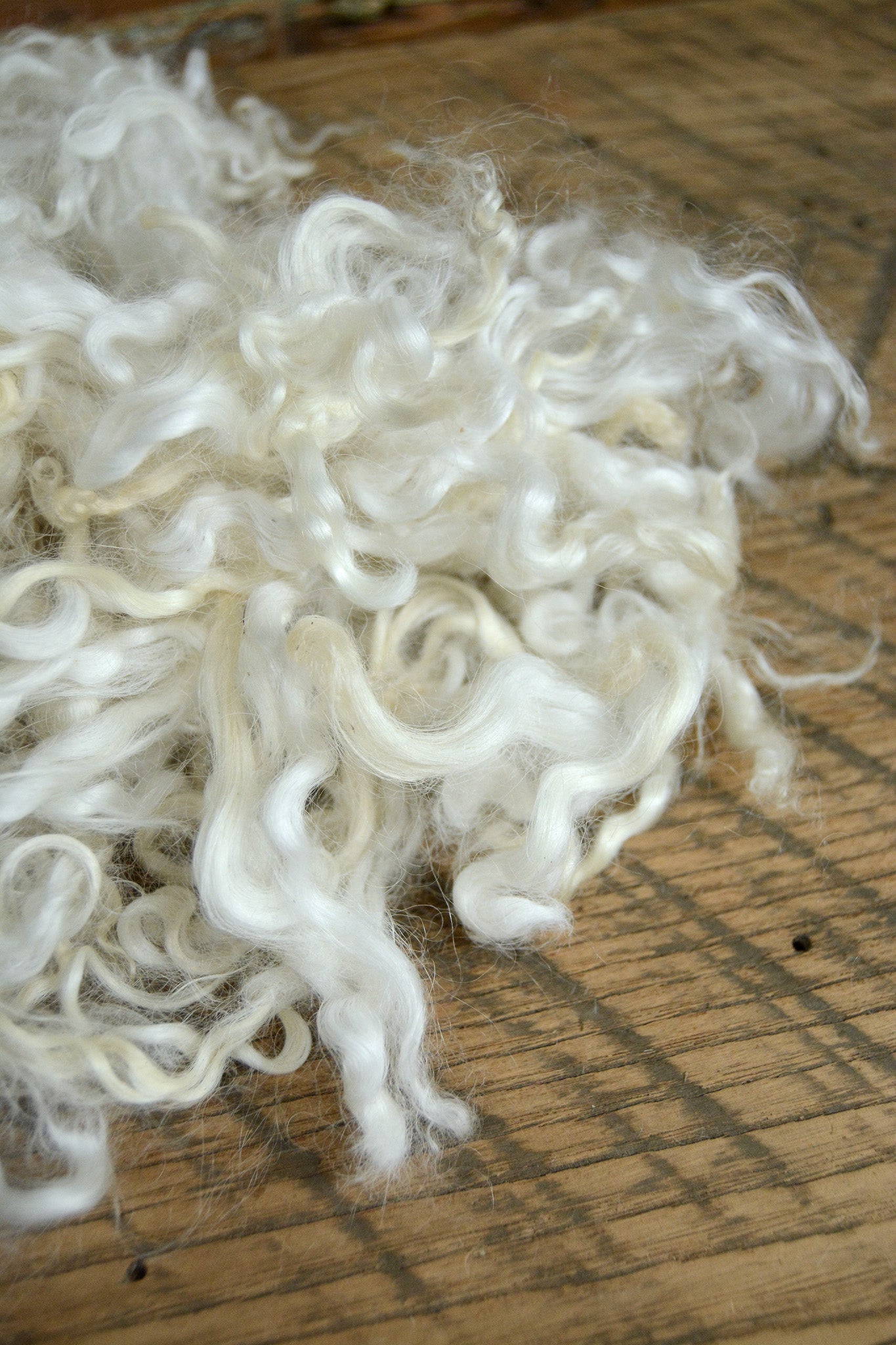 Cotswold Lamb Locks: White 2 oz