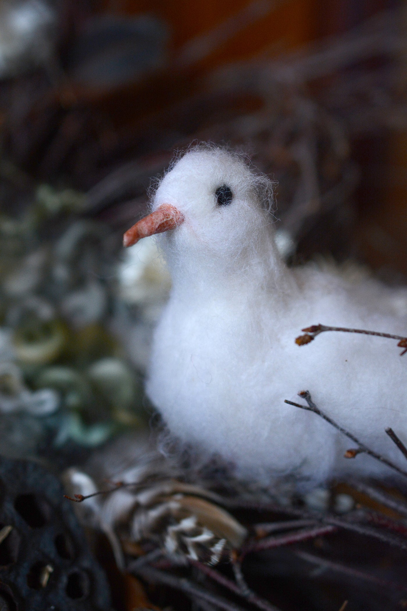 Boodle: Dove and Chickadee Project Boodle