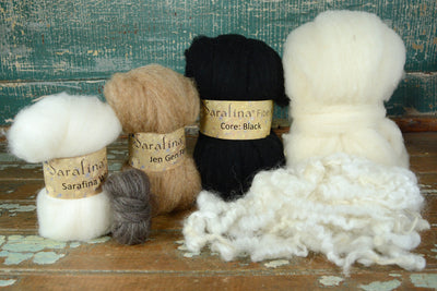 Boodle: Dove and Chickadee Project Boodle