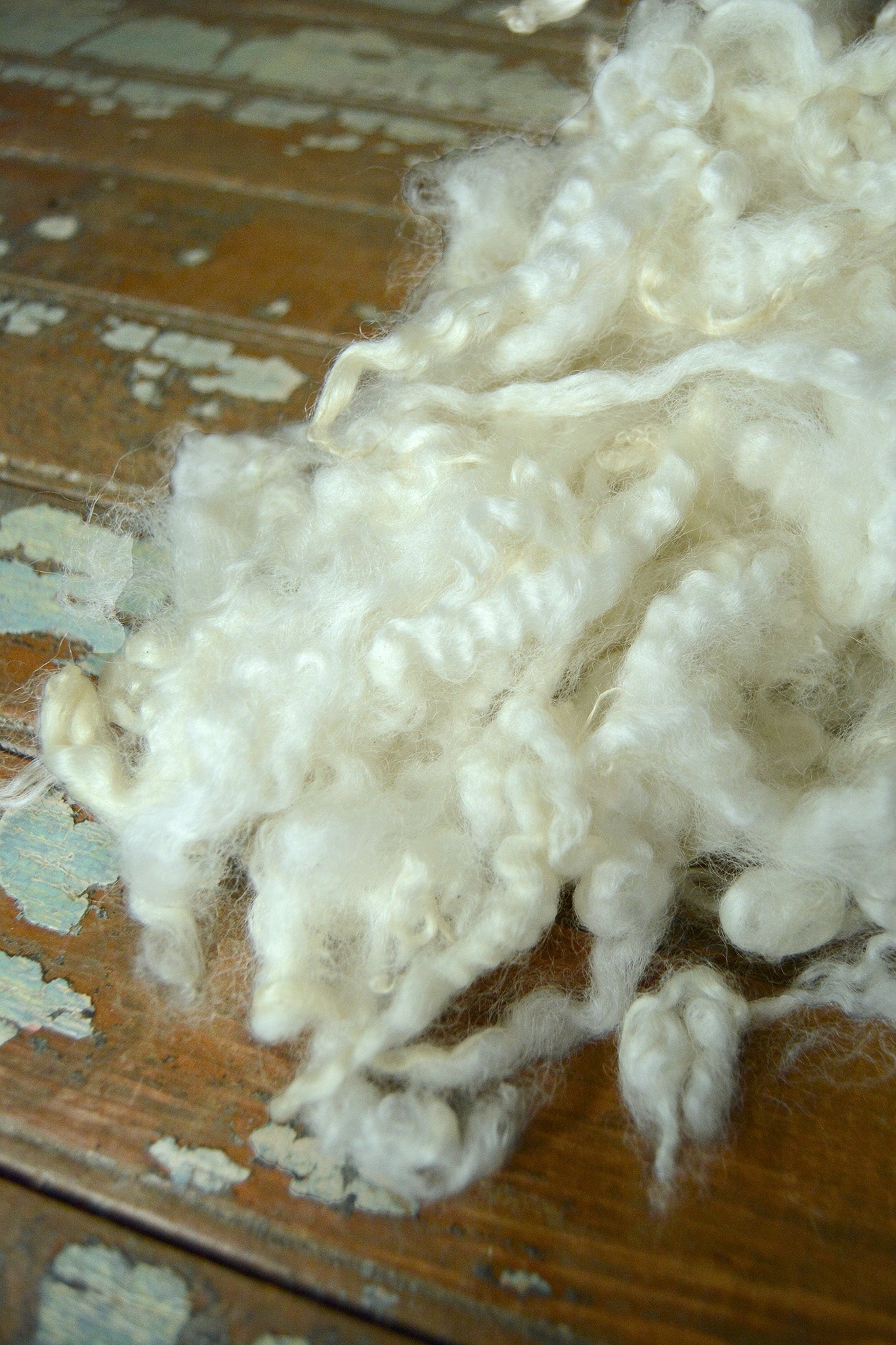 Border Leicester Lamb Locks: Light 2 oz