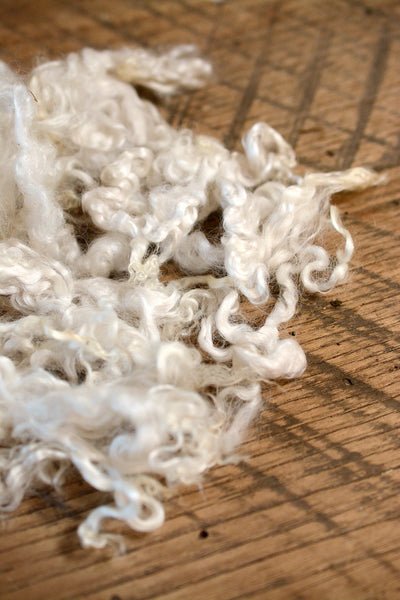 Wensleydale Lamb Locks: White 2 oz