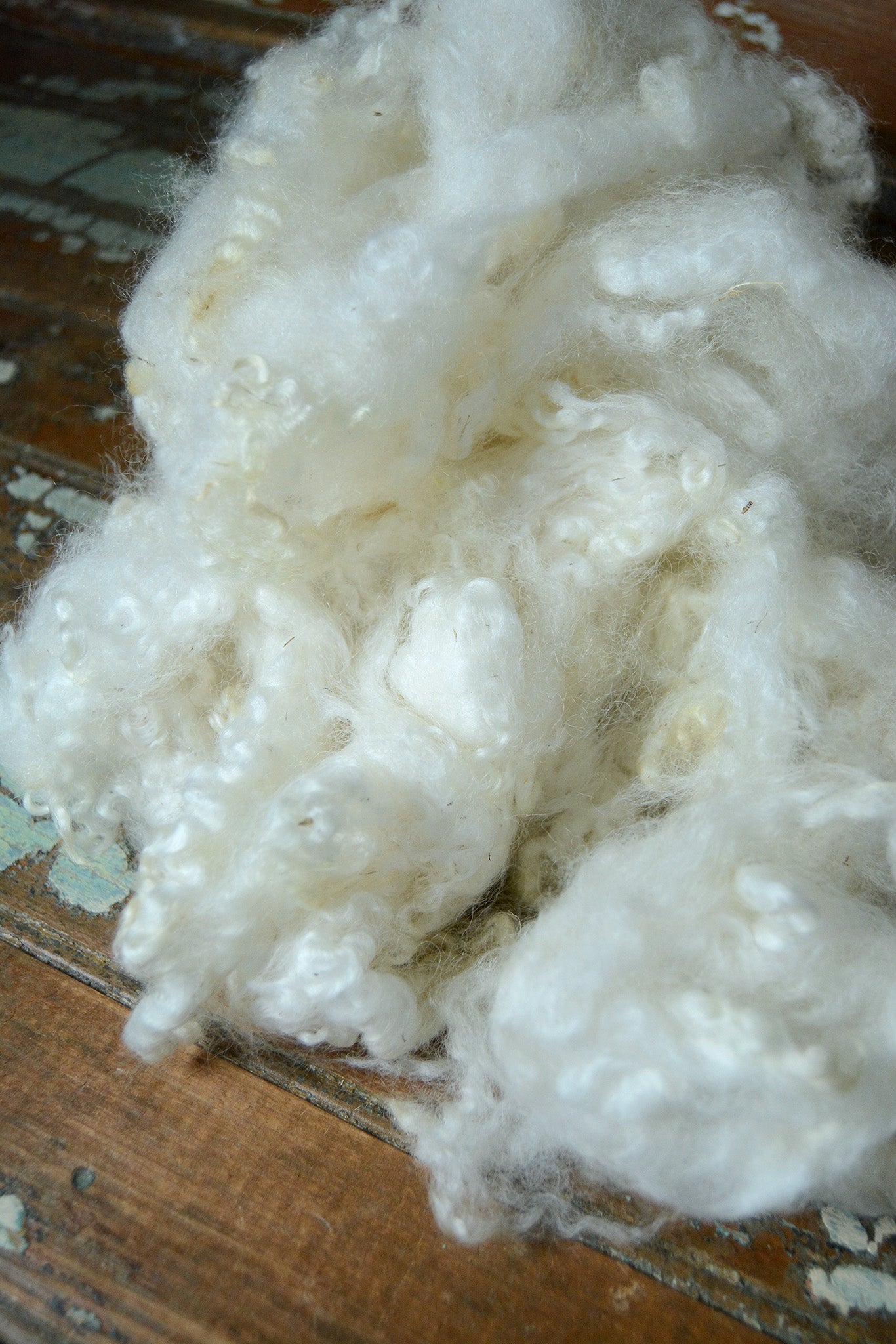 Border Leicester: Fluff Clearance