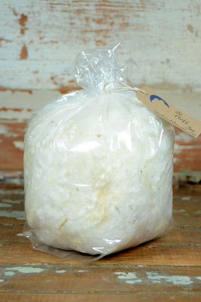 Border Leicester: Fluff Clearance