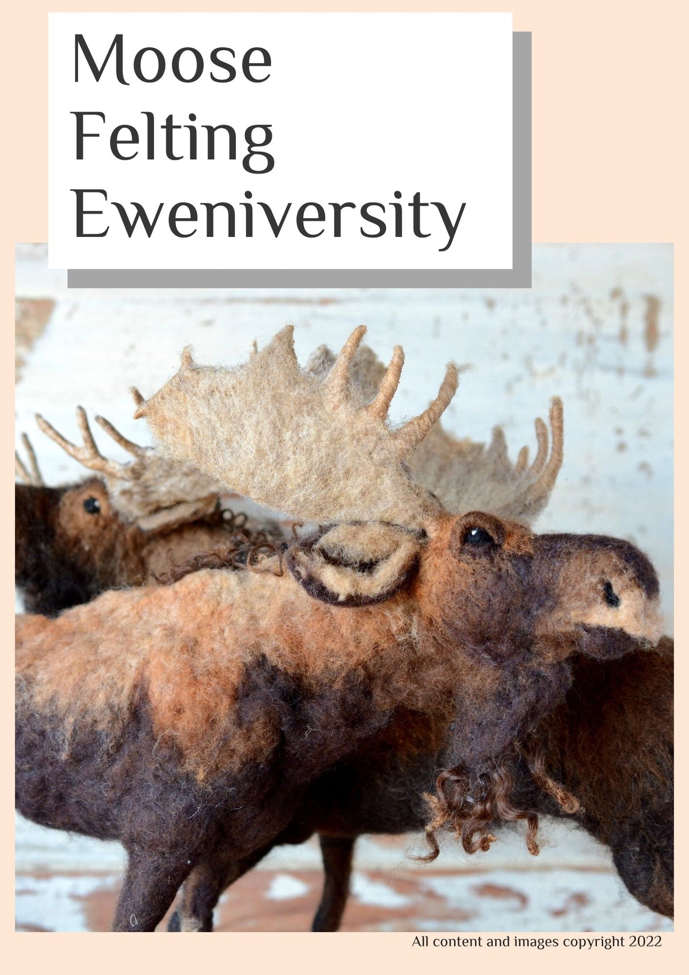 Moose Eweniveristy Course on SD Card