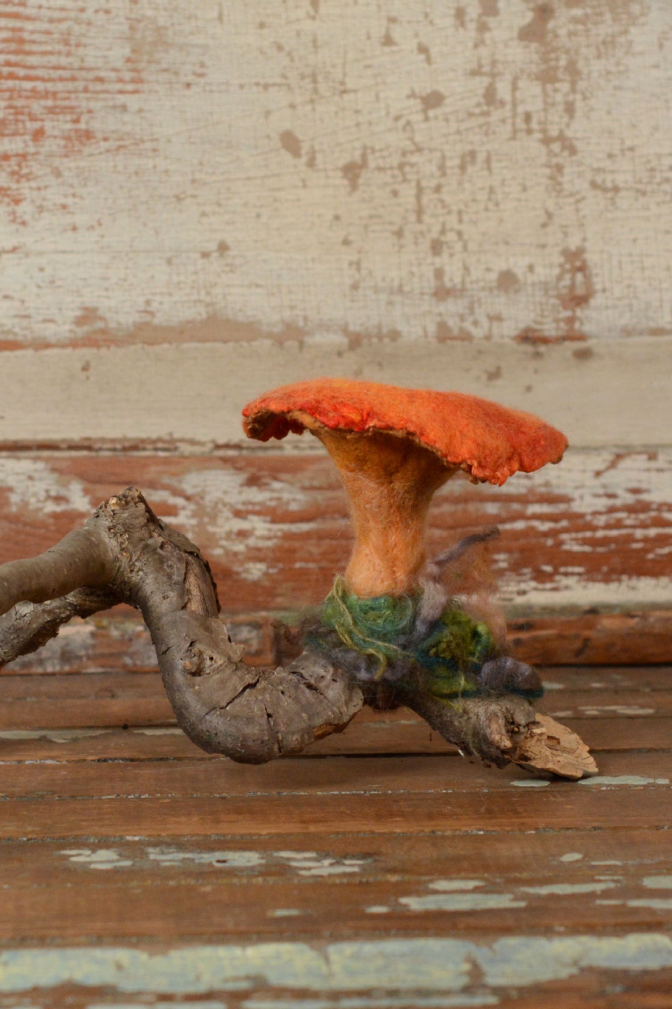 Mushroom Vignette:  Chantrelle on Branch