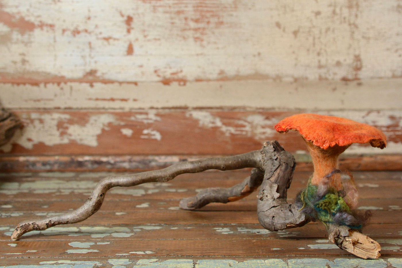 Mushroom Vignette:  Chantrelle on Branch