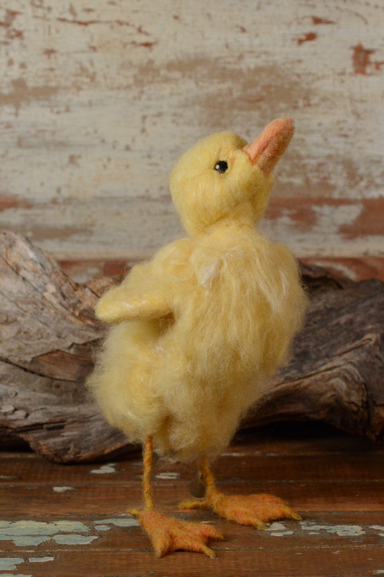 Duckling