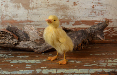 Duckling