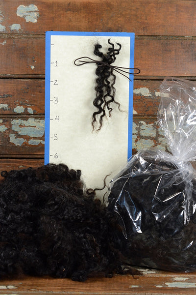 Sarafina Black Locks