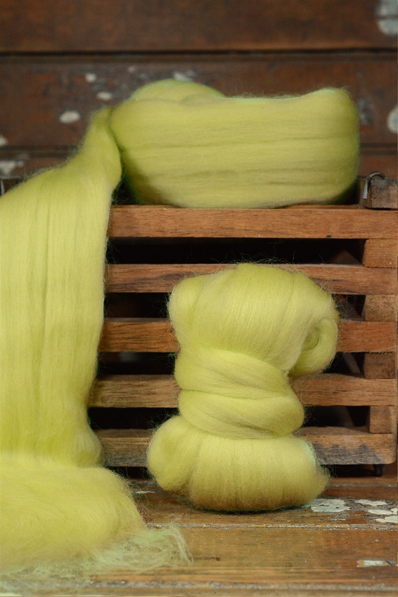 Chlorophyll Merino