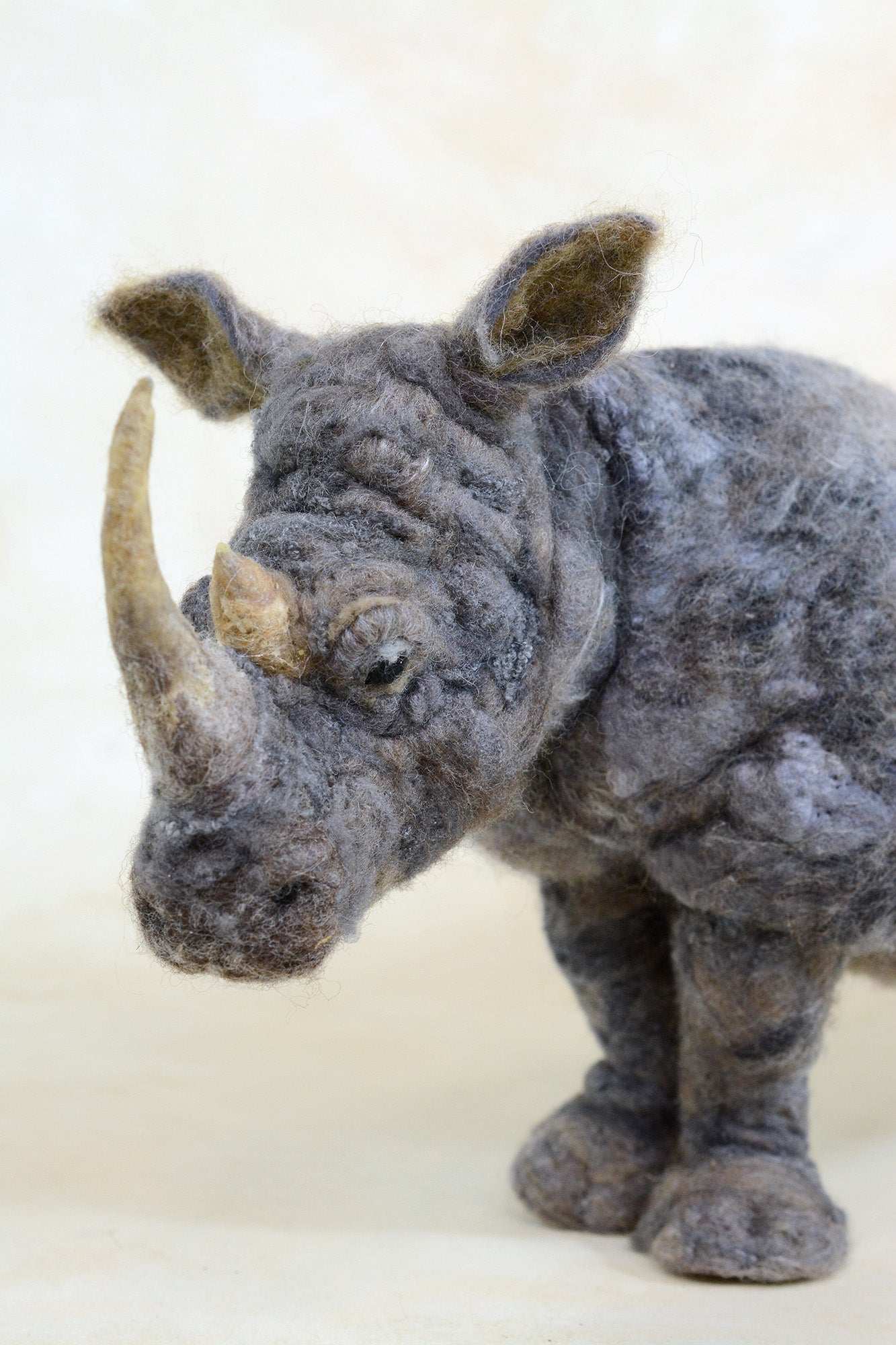 Rhino Eweniveristy Course on SD Card