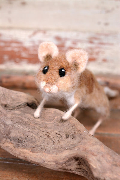 Supply Pack: Oldfield Mouse - Level 2