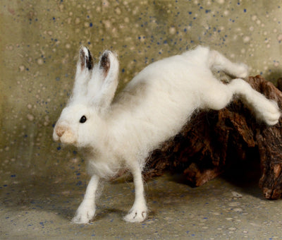 Supply Pack: Snowshoe Hare - Level 3