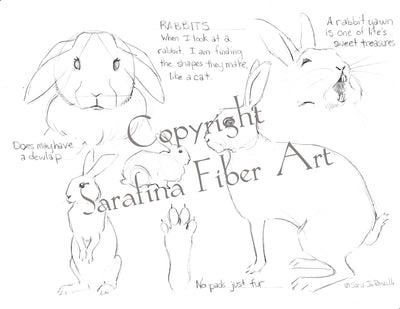 Sarafina Reference Charts (in protective sleeves)