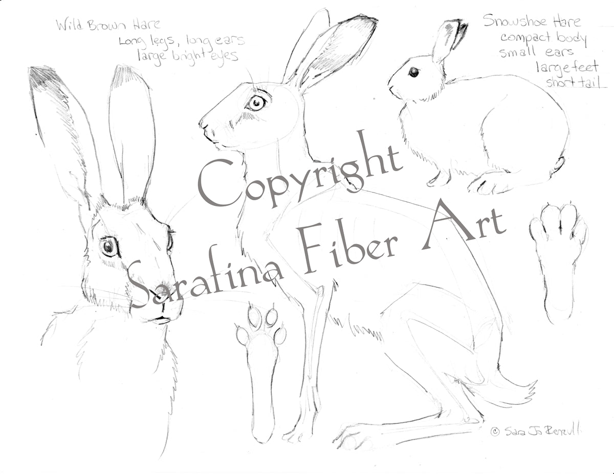 Sarafina Reference Charts (Digital Download as PDF)