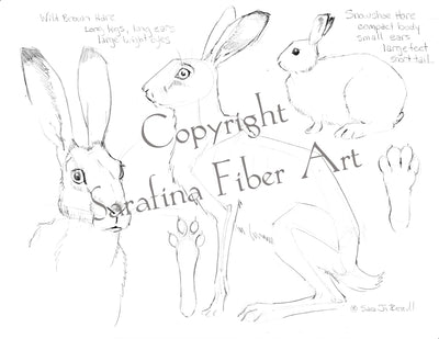 Sarafina Reference Charts (in protective sleeves)