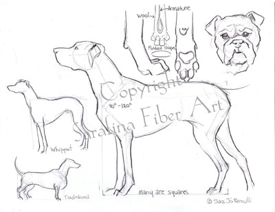 Sarafina Reference Charts (in protective sleeves)