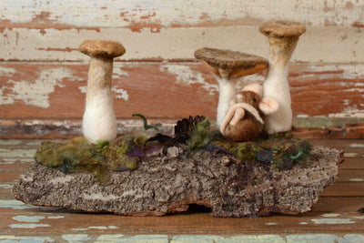 Mushroom Vignette:  Trumpets on Bark